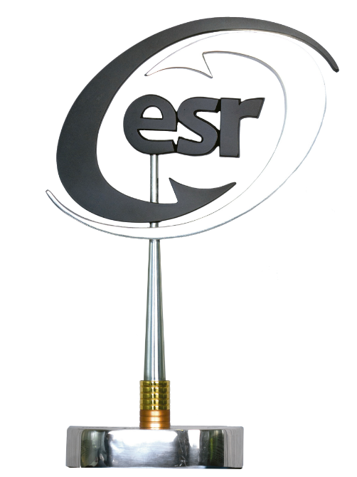 Distintivo de la RSE